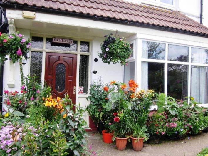 Sleights Beechlands B & B מראה חיצוני תמונה