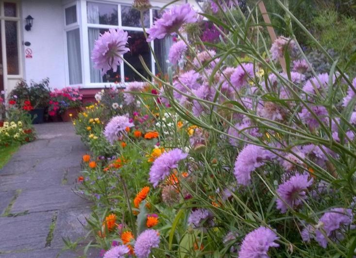 Sleights Beechlands B & B מראה חיצוני תמונה